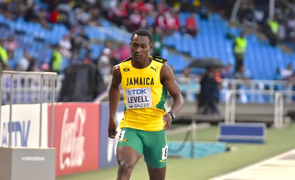 Bryan Levell in action